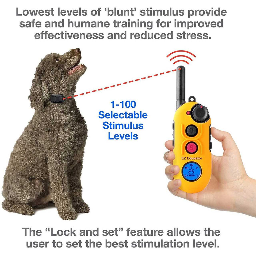Remote Dog Training Collar with Vibration A870
