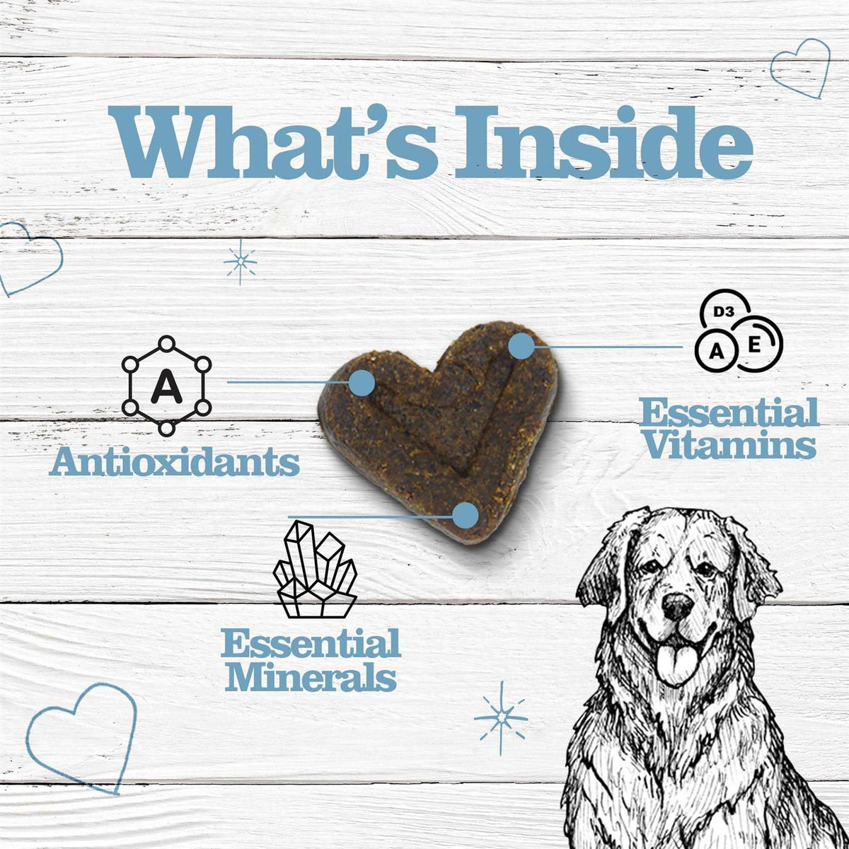 Chewable Multivitamins for Dogs L522