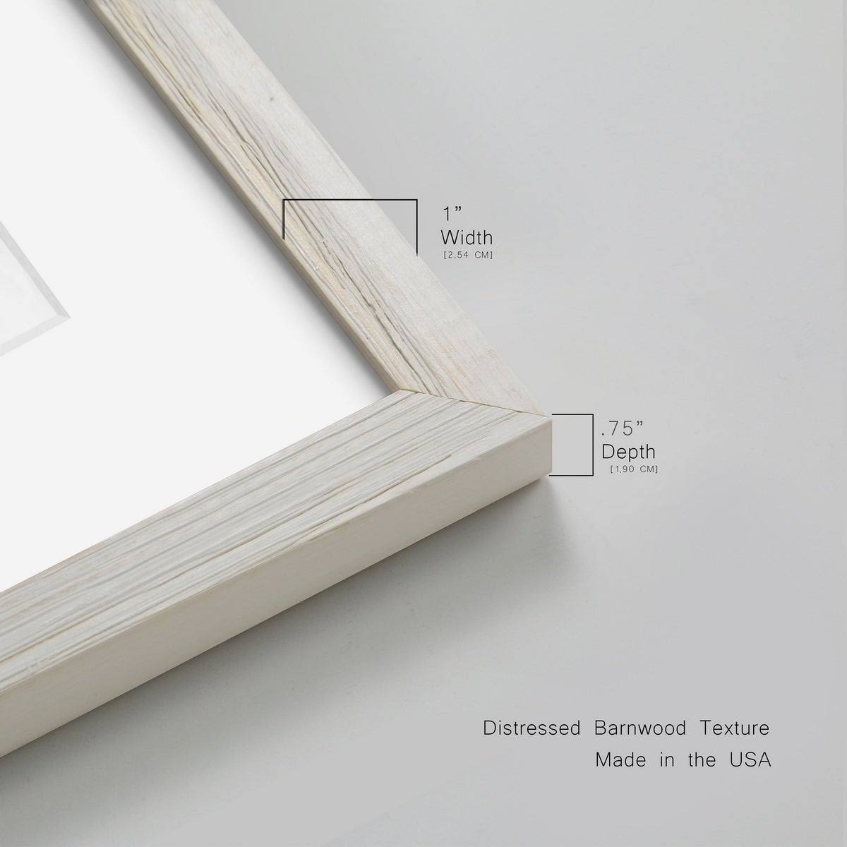 Framed Print 17X20 Black A6185