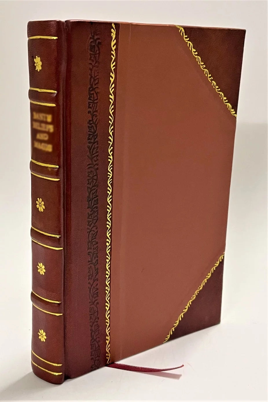 Leather Bound Book N97389