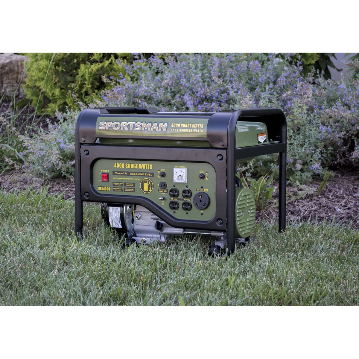 4000W Portable Generator P24269