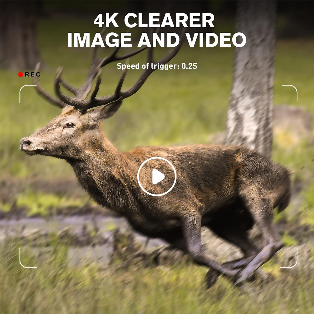 4K 30MP Night Vision Motion Activated Waterproof WiFi Bluetooth Trail Camera Y516