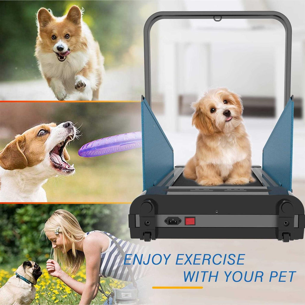 Small Dogs Medium Dogs Treadmill E8506