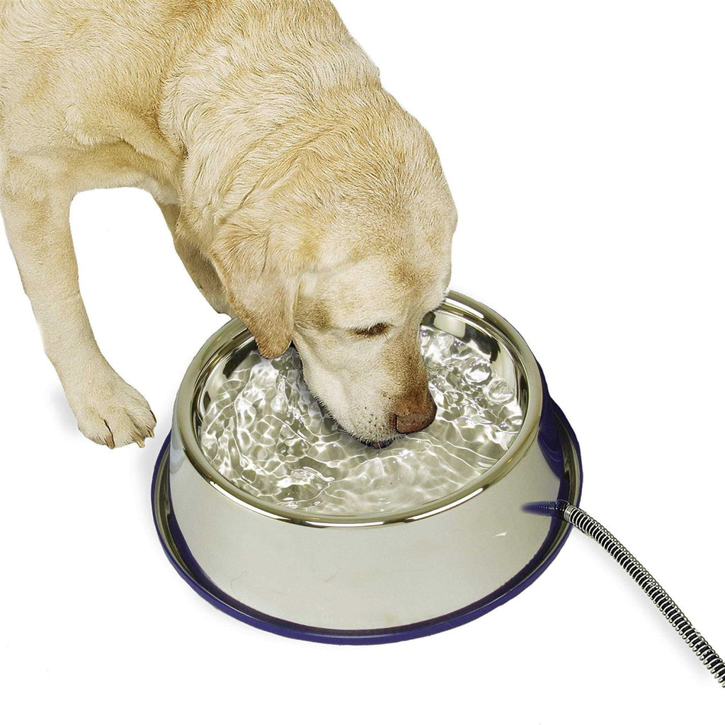 Stainless Steel Cat & Dog Bowl Y5197