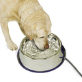 Stainless Steel Cat & Dog Bowl Y5197
