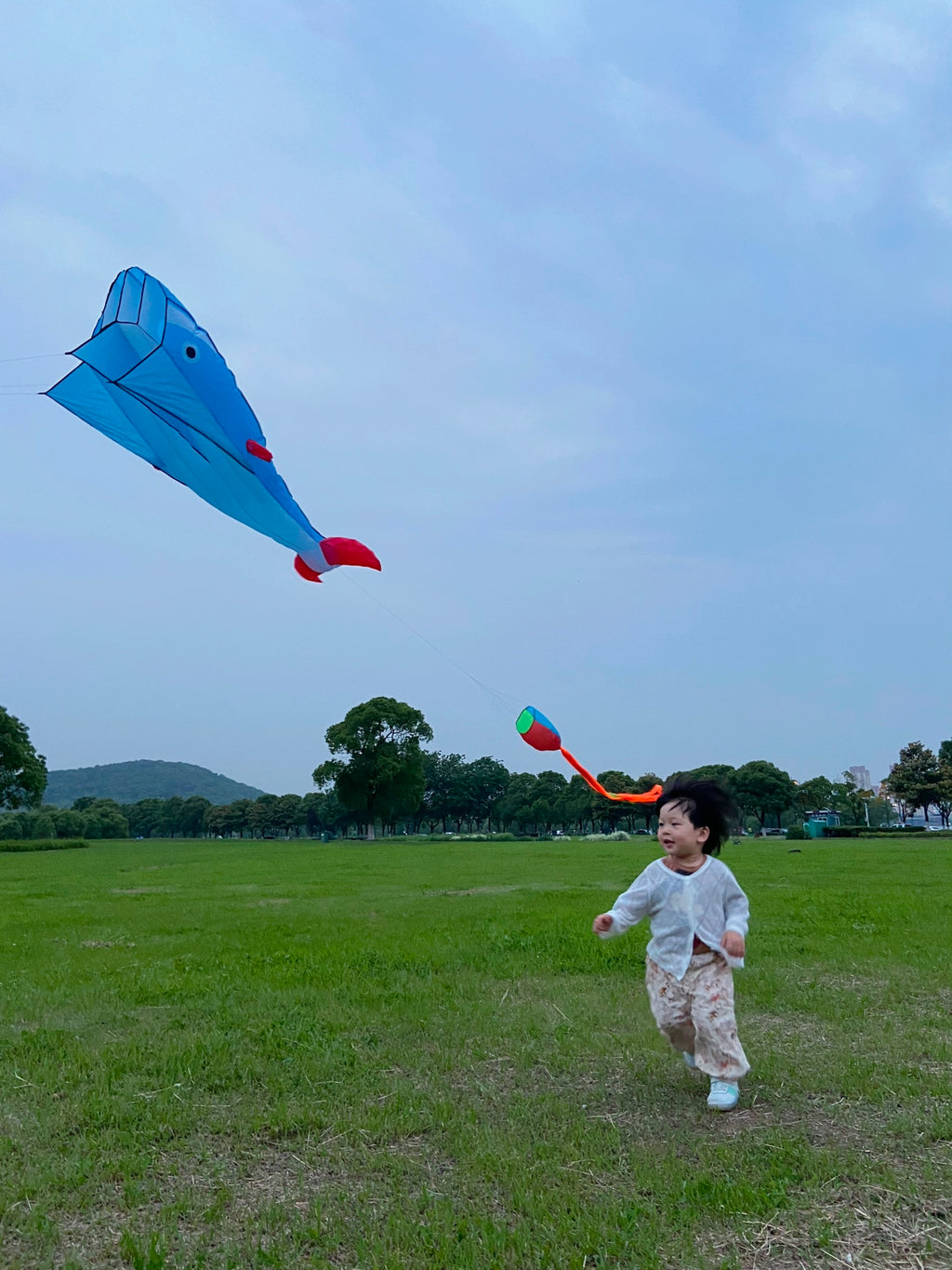 Blue Polyester 78inch Whale Dolphin Kite H8323