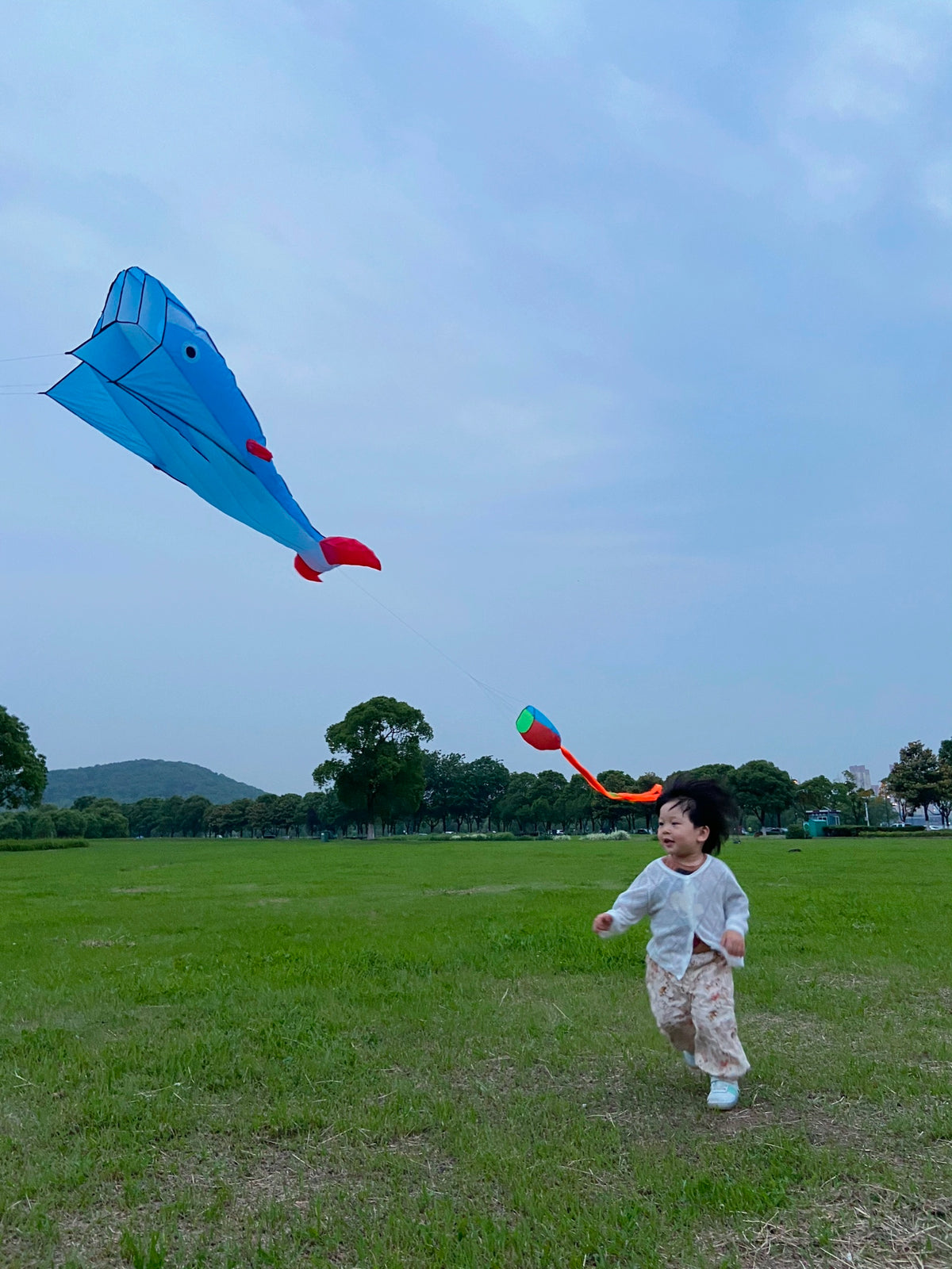Blue Polyester 78inch Whale Dolphin Kite H8323
