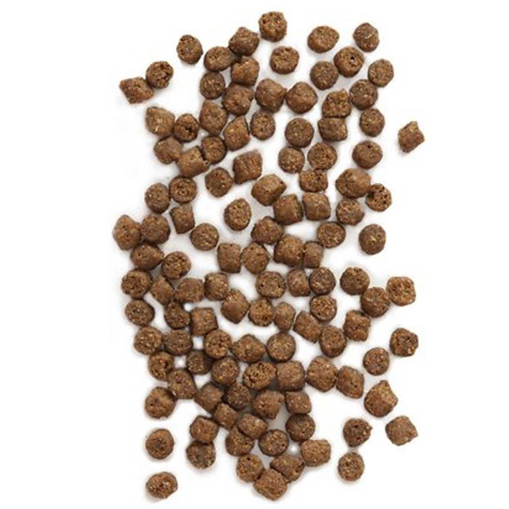 Wild Sea Catch Cat Food V508