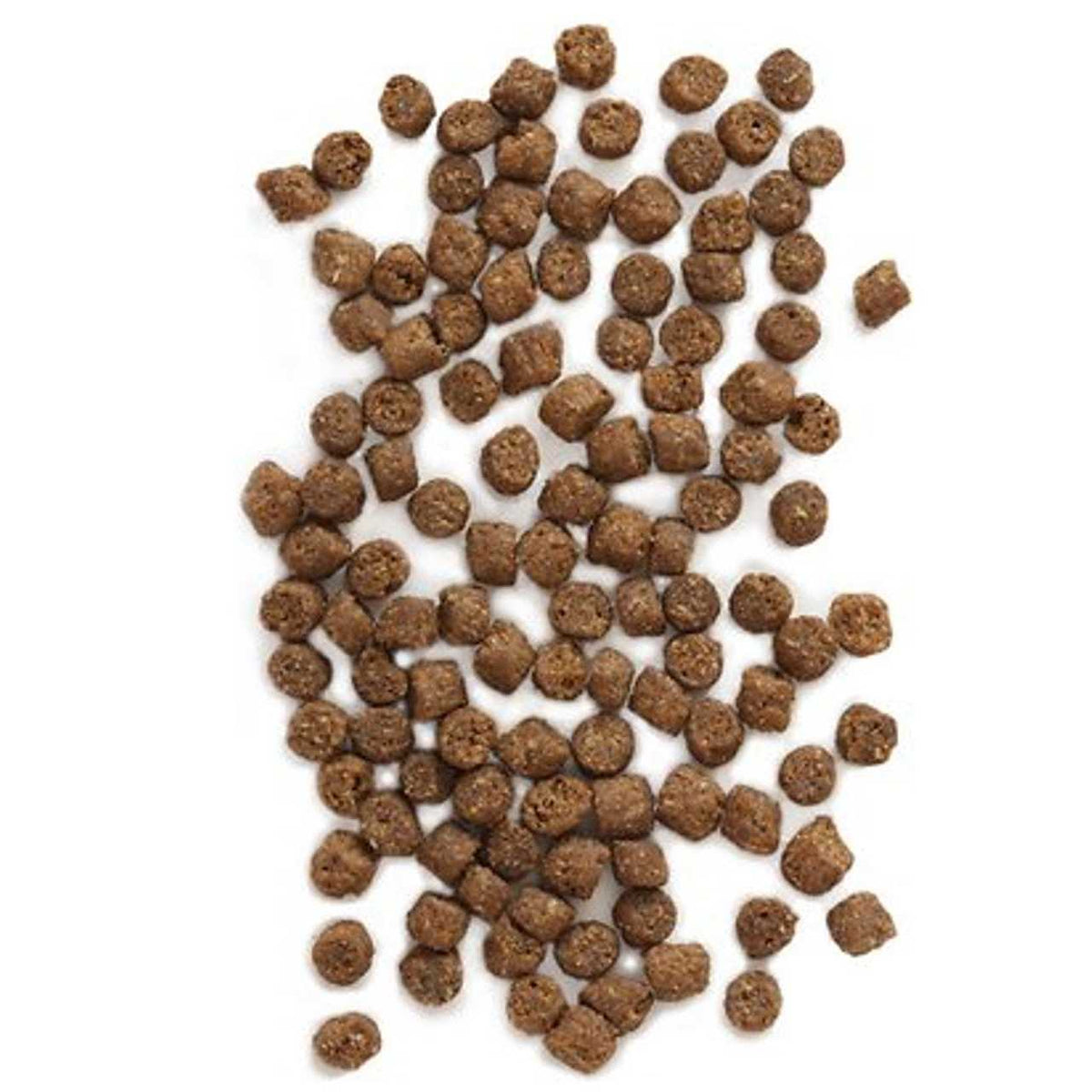 Wild Sea Catch Cat Food V508