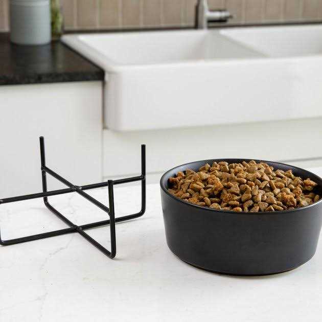 Solid Dog Bowl Stand Y545946