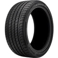 All Season 255/45R19 104W XL Passenger Tire H736862