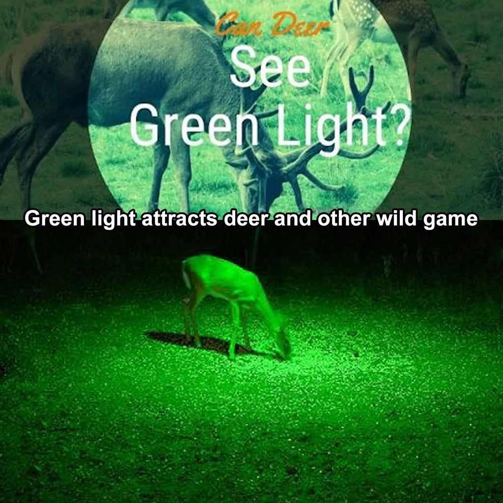 Zoomable Green Red UV Flashlight Black Light Tactical Torch E4013