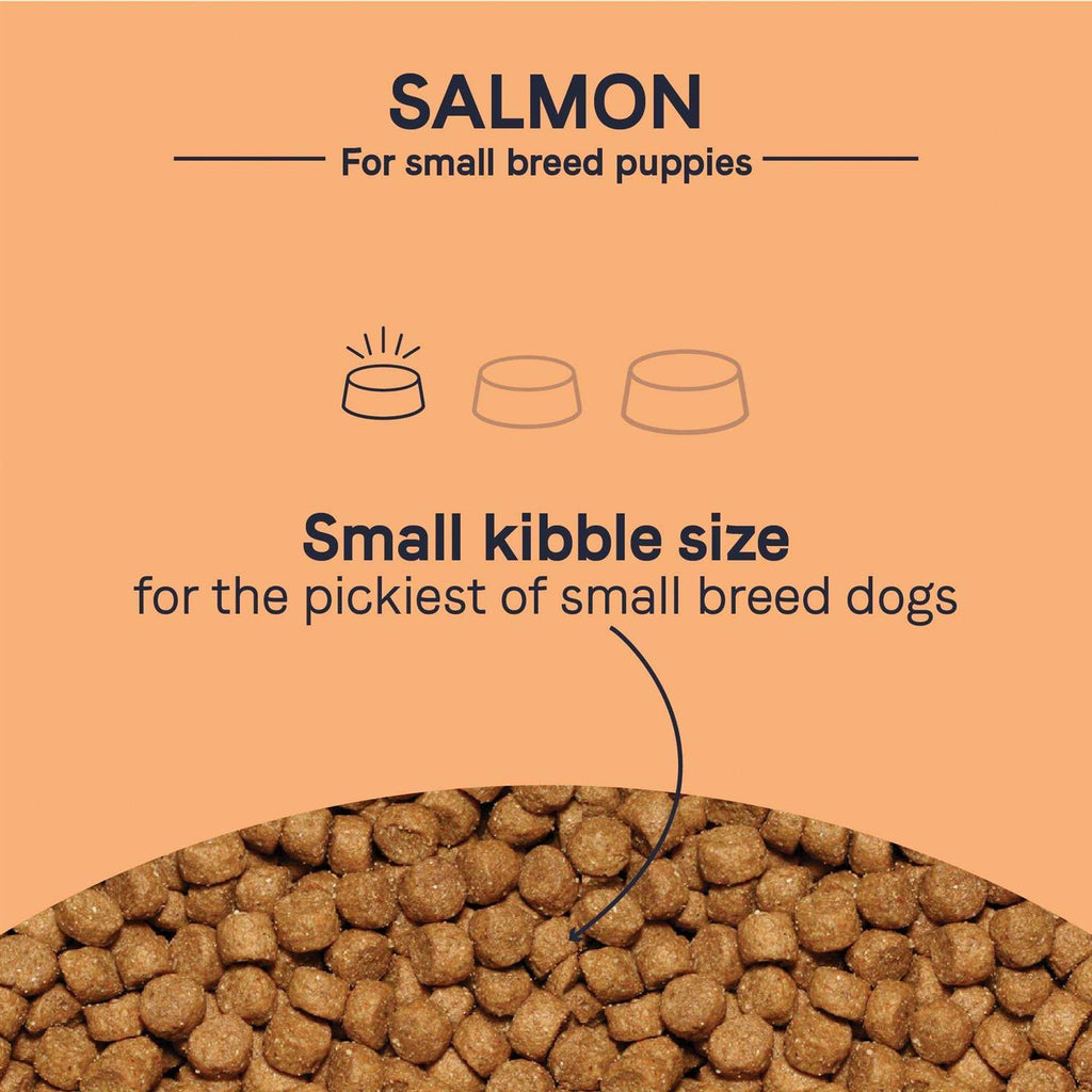 Salmon Small Breed Puppy Dry Dog Food O640