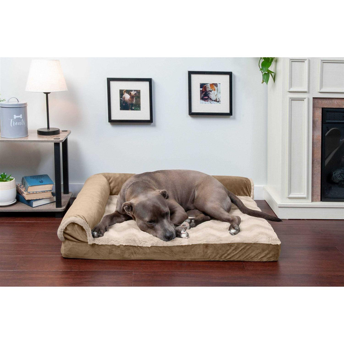 Velvet Chaise Lounge Dog Bed Z67536