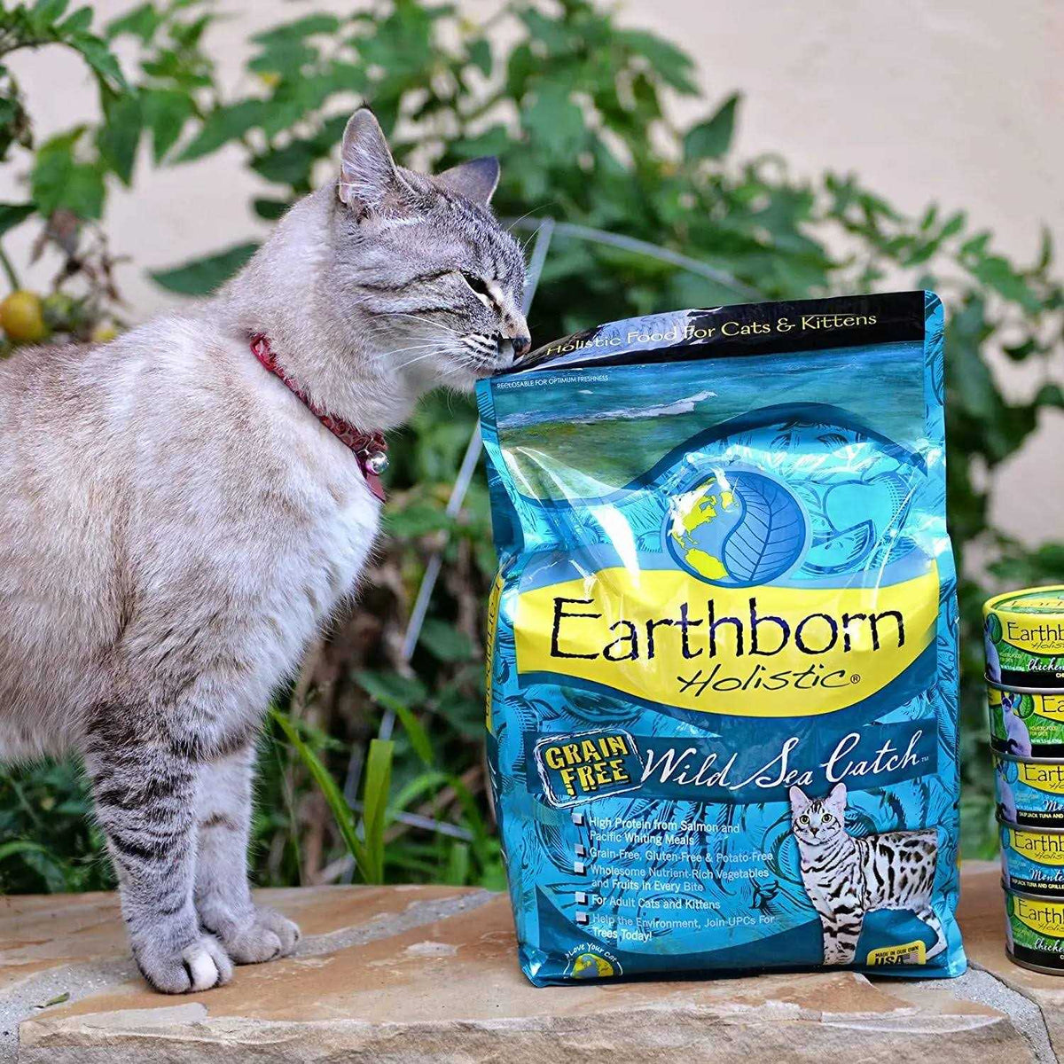 Wild Sea Catch Cat Food V508