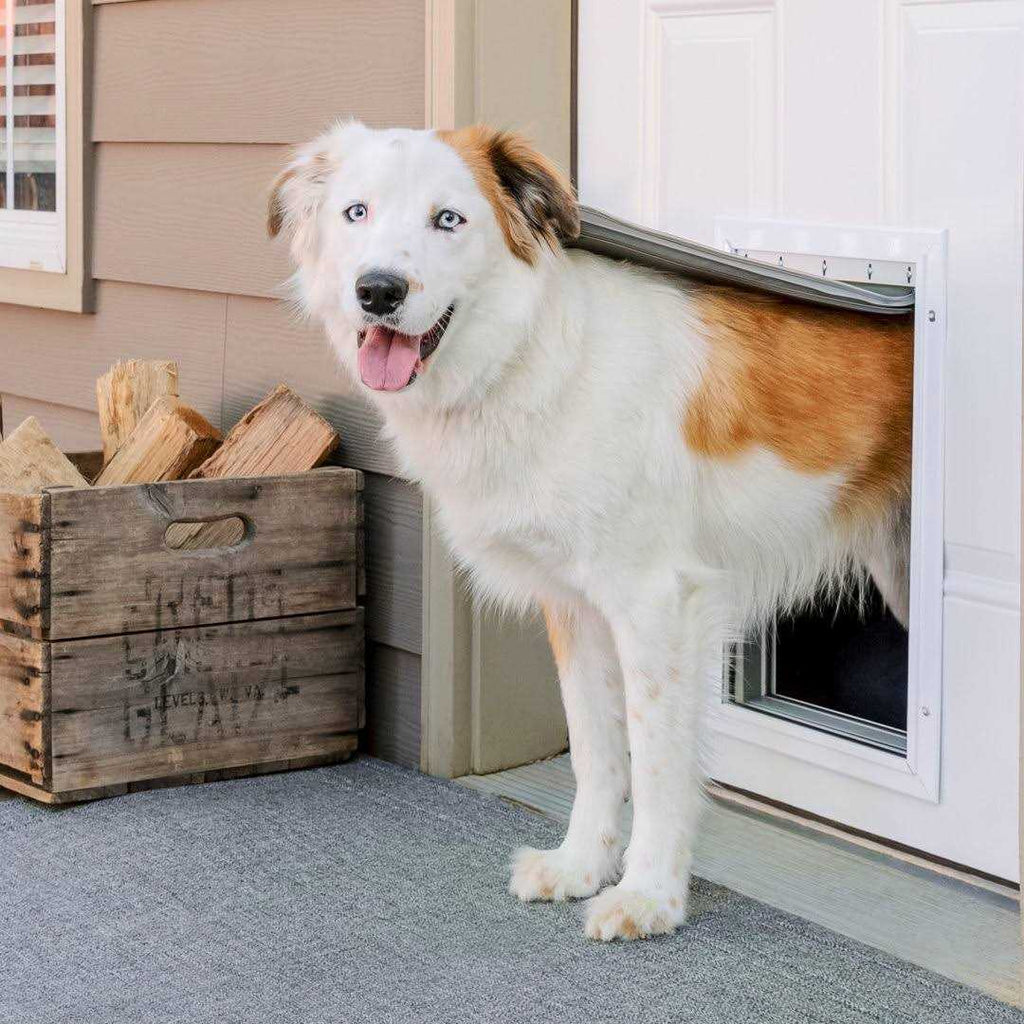 Aluminum Pet Door C483989