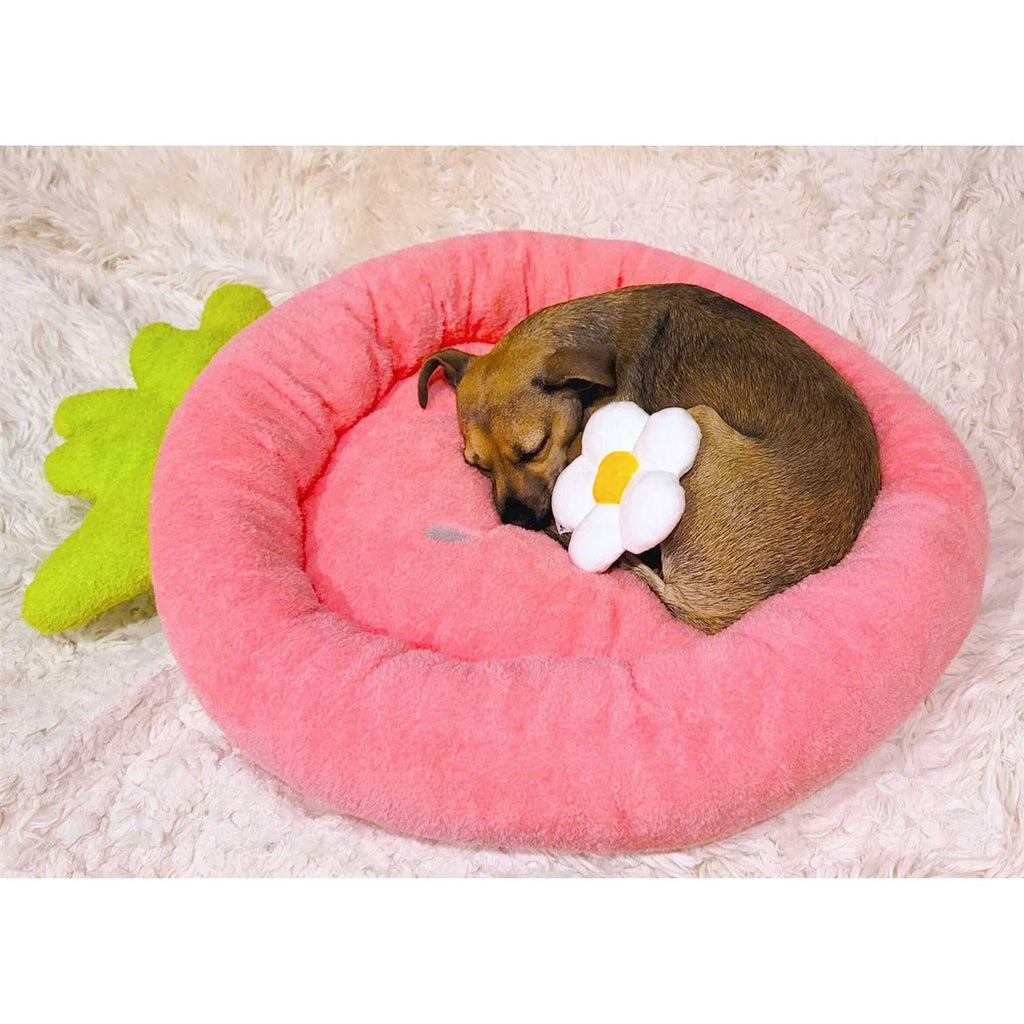 Soft Plush Small Dog Cat Bed W6991