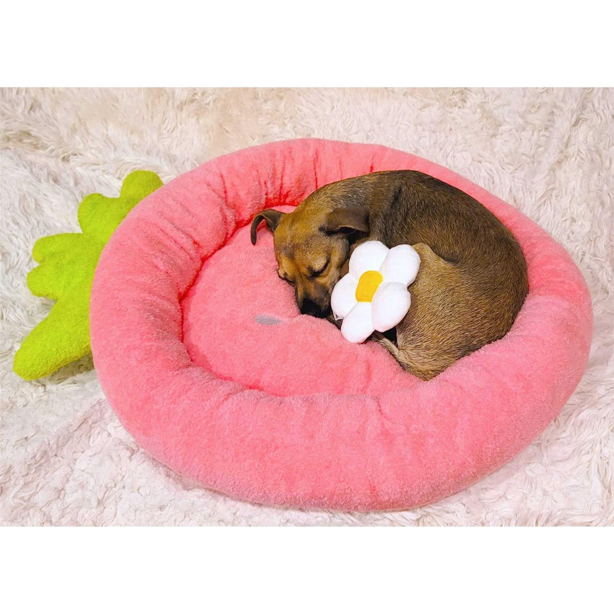 Soft Plush Small Dog Cat Bed W6991