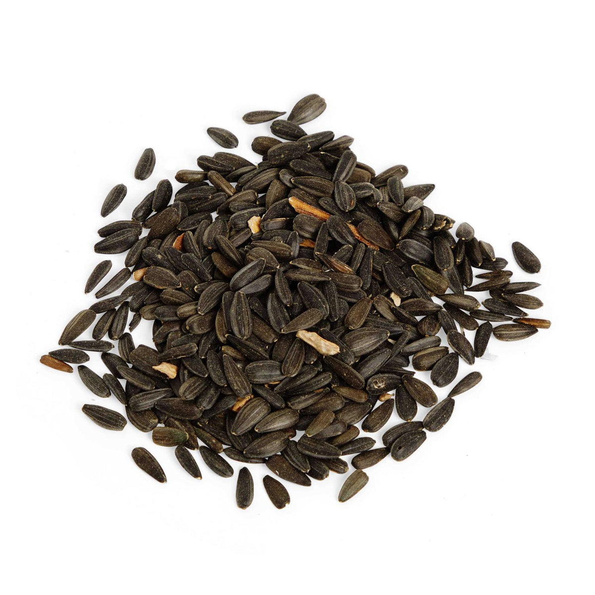 Black Oil Sunflower Seed Wild Bird Food P322232