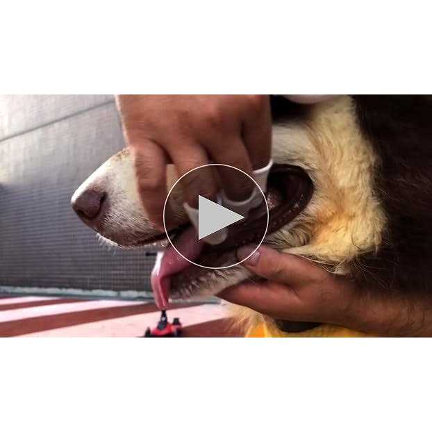 Dog Cat Finger Toothbrush O311957
