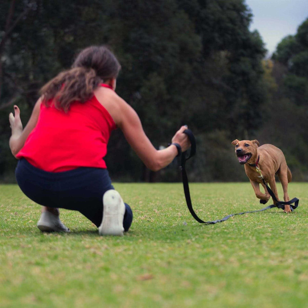 Leash C460369