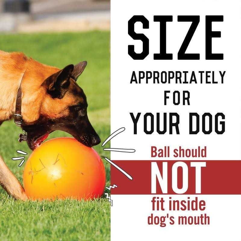 Virtually Indestructible Ball Z589