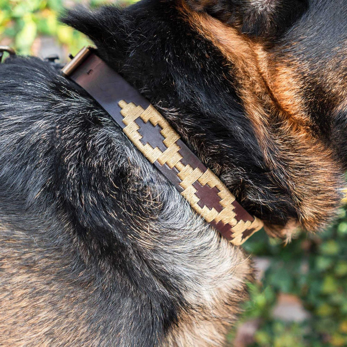 Polo Dog Collar Leather Hand-Stitched I240621