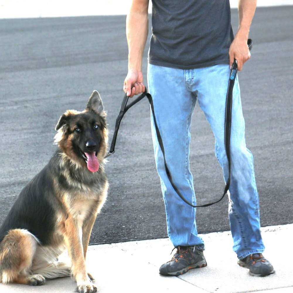 Double Handle Reflective Dog Leash I347