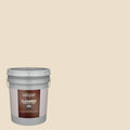 Semi-Gloss Exterior Paint (5-Gallon) N18545