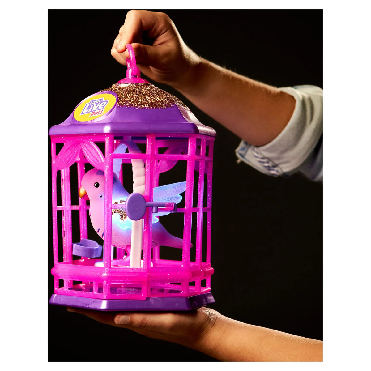 Sparkle Pets Boutique R24988
