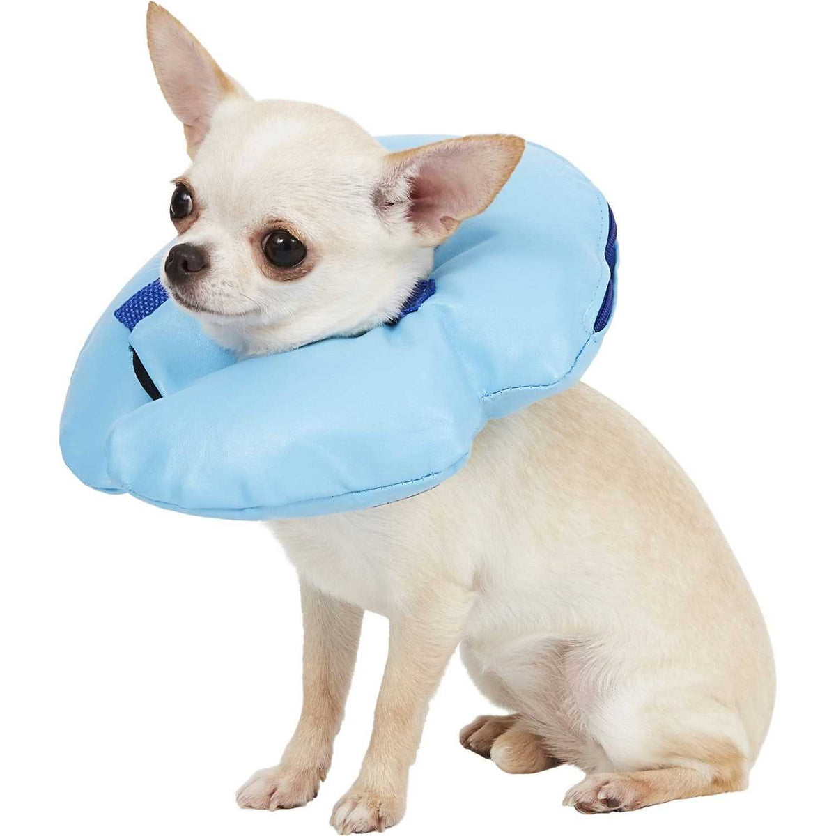 Inflatable Recovery Dog Collar Q38020