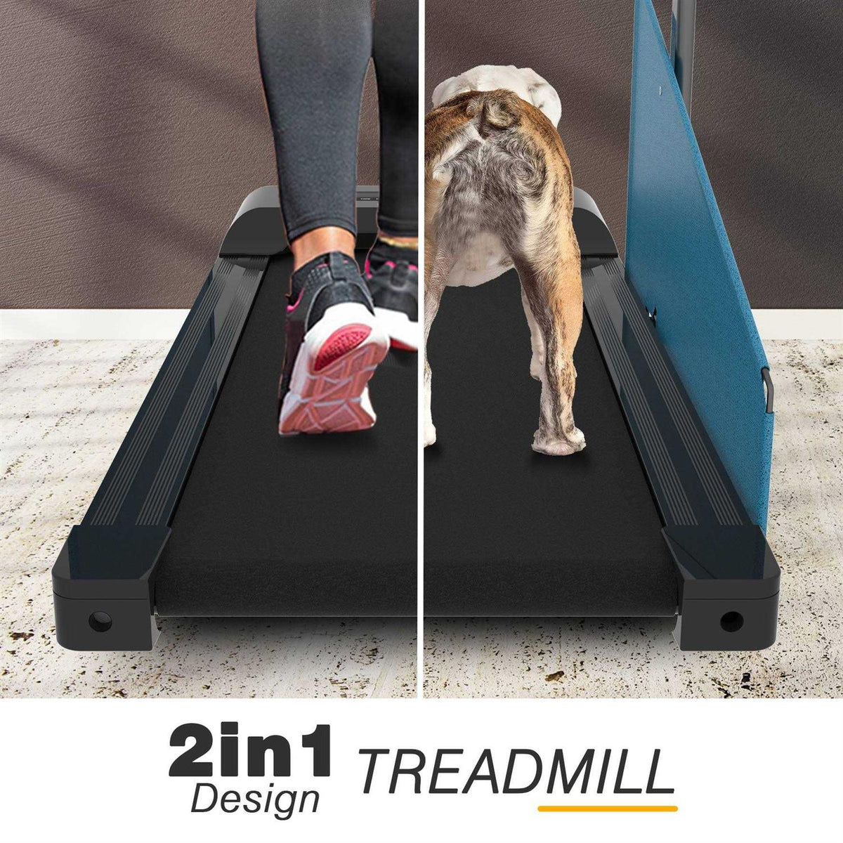 Small Dogs Medium Dogs Treadmill E8506