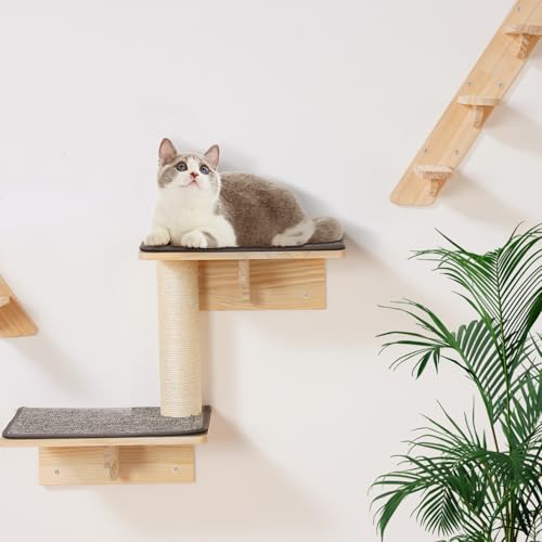 Wall Mounted Cat Shelves Set of 6 B1347