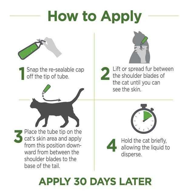 Flea & Tick Topicals for Cats R534