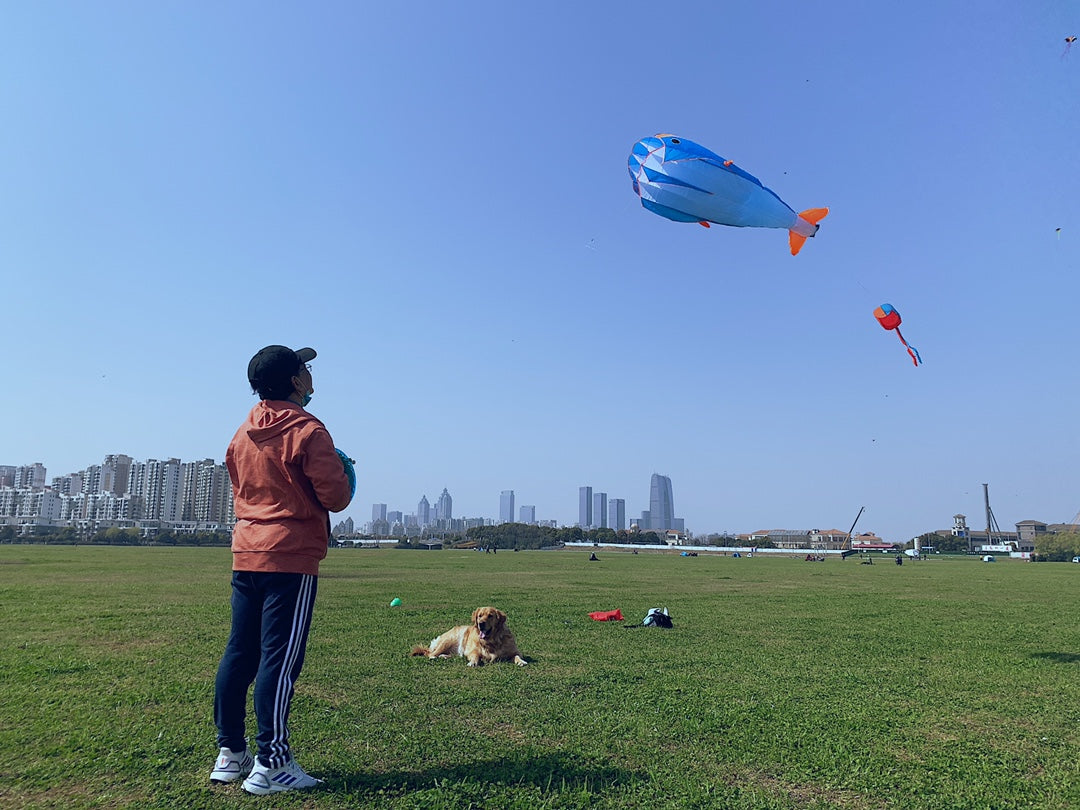 Blue Polyester 78inch Whale Dolphin Kite H8323