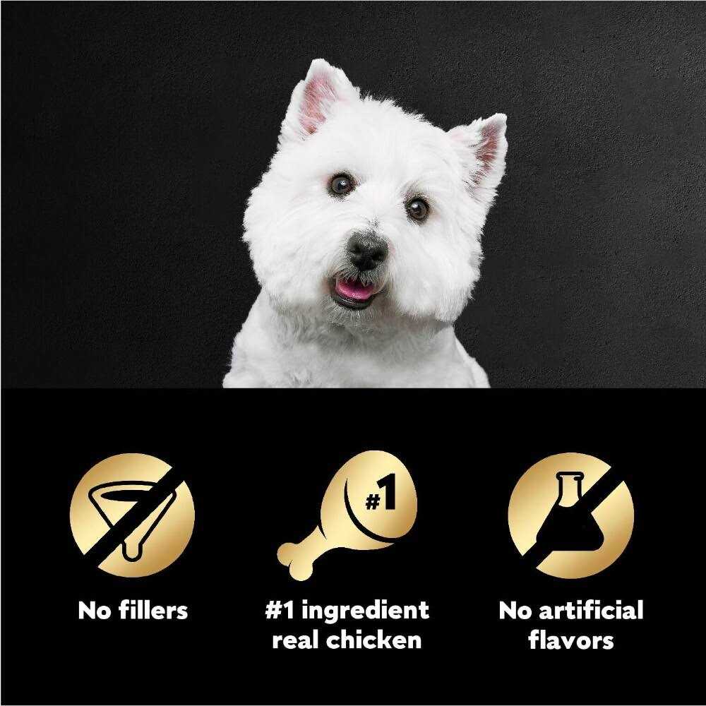 Wood-Grilled Chicken Flavor Wet Dog Food O1810