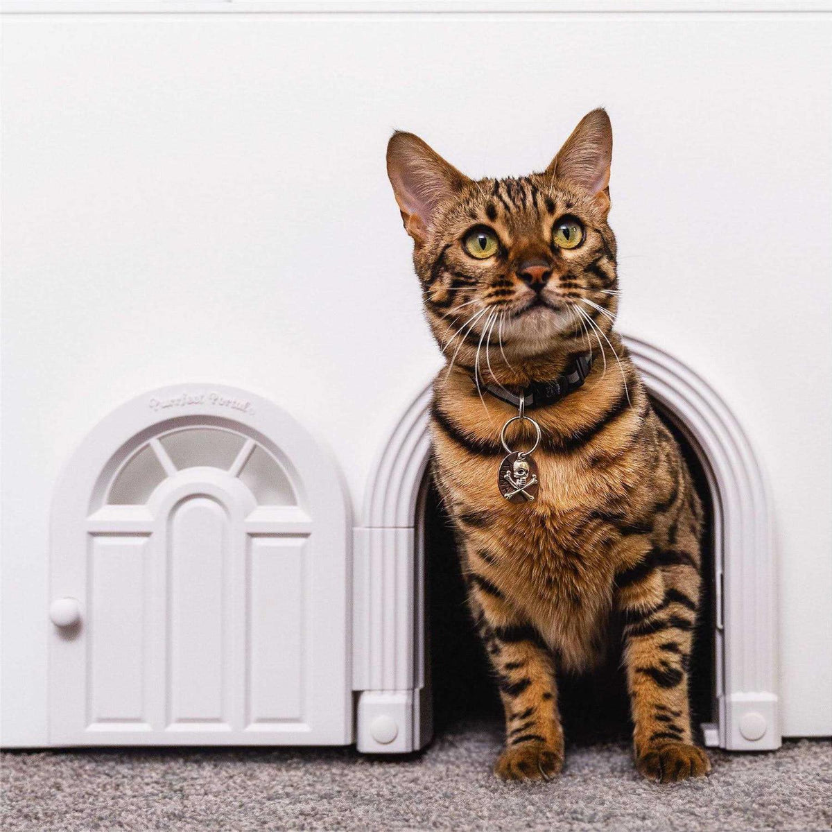 Interior Cat Door for Cats Up to 20 lbs E3612