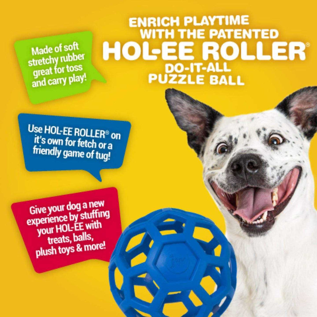 Hol-ee Roller Dog Toy Puzzle Ball Y34671