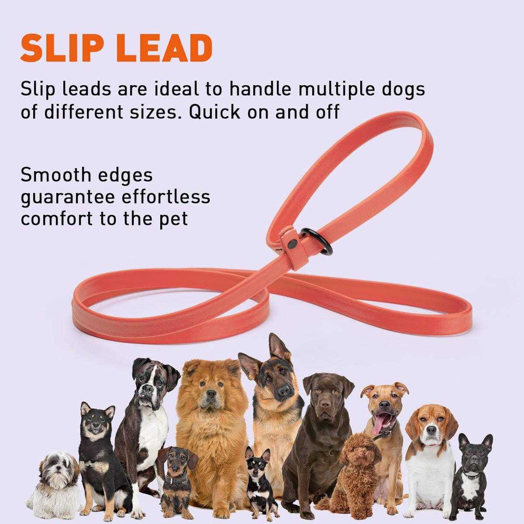 Biothane Slip Dog Leash R9105