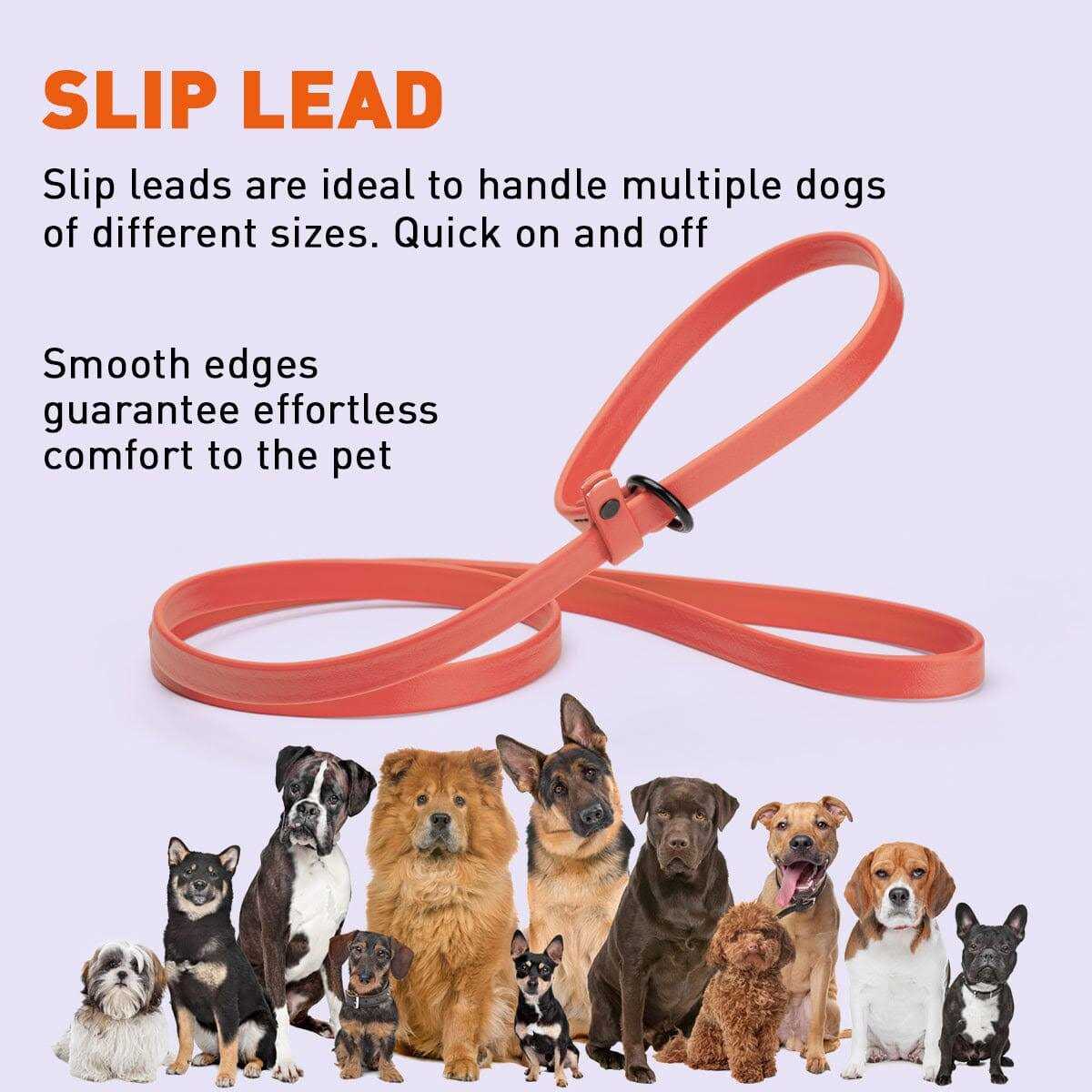 Biothane Slip Dog Leash R9105