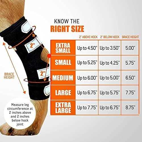 Dog Rear Leg Hock Metal Spring Strips T701