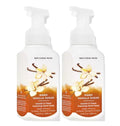 Gentle & Clean Foaming Hand Soap 8.75 Ounce 2-Pack E723