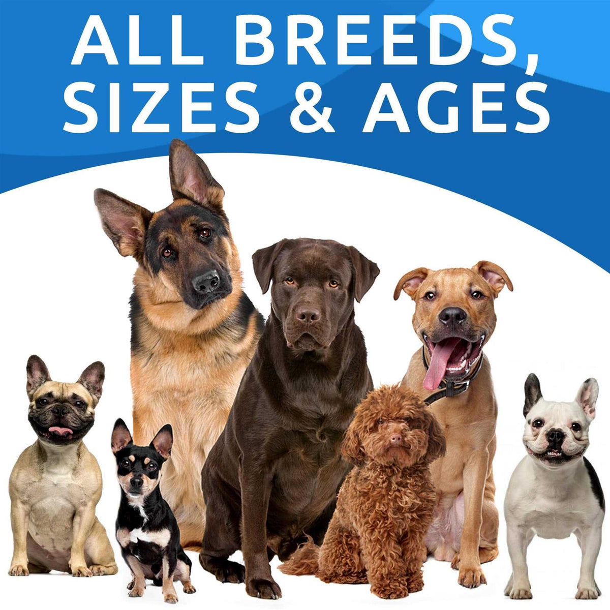 Dog Allergy Relief Chews Skin & Coat Supplement I5197