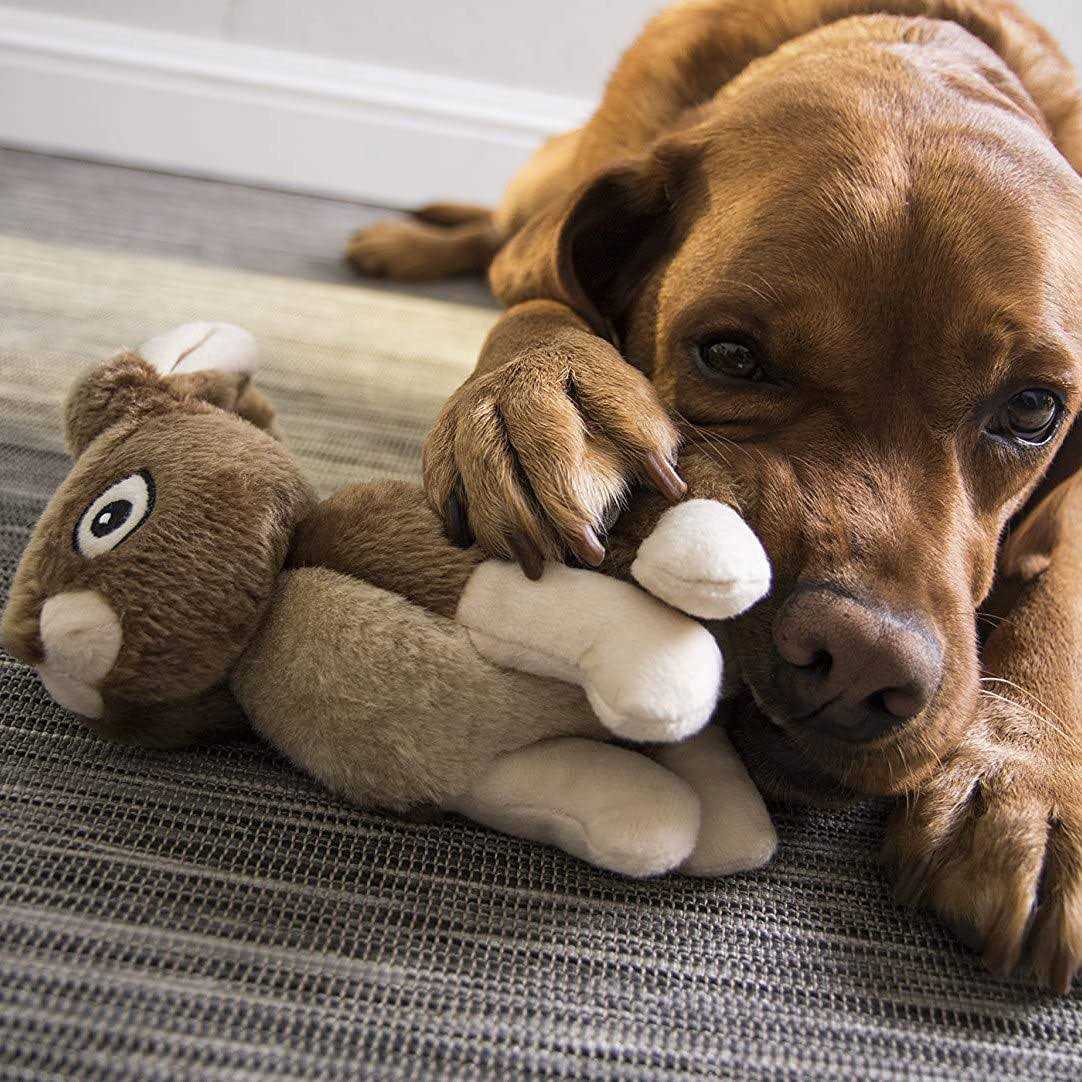 Rabbit Dog Toy E787661