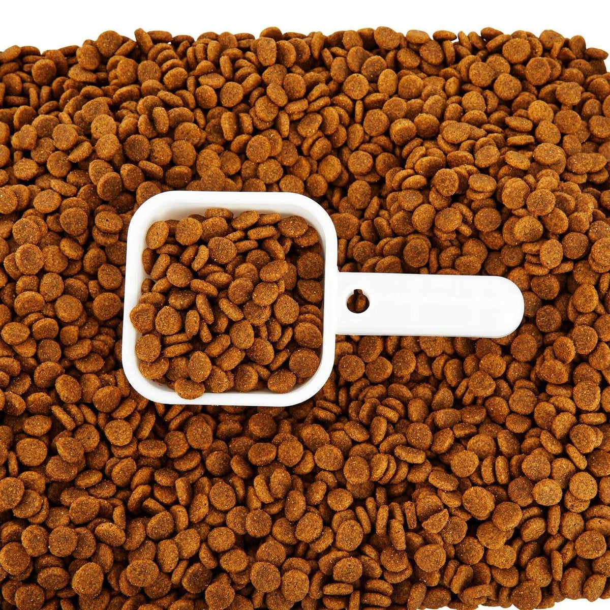 Food Storage H3101