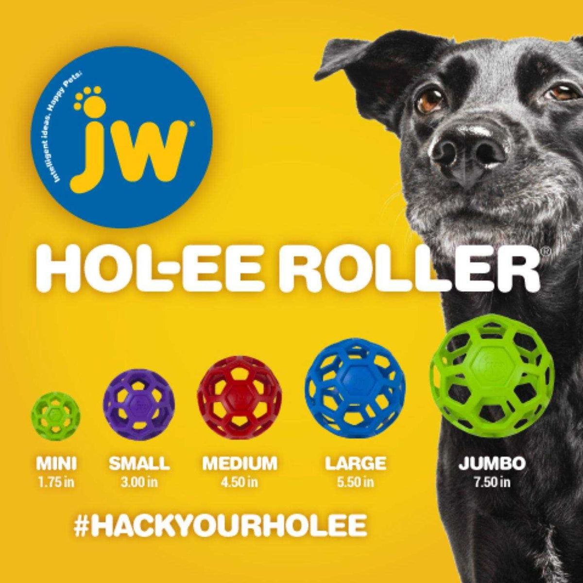 Hol-ee Roller Dog Toy Puzzle Ball Y34671
