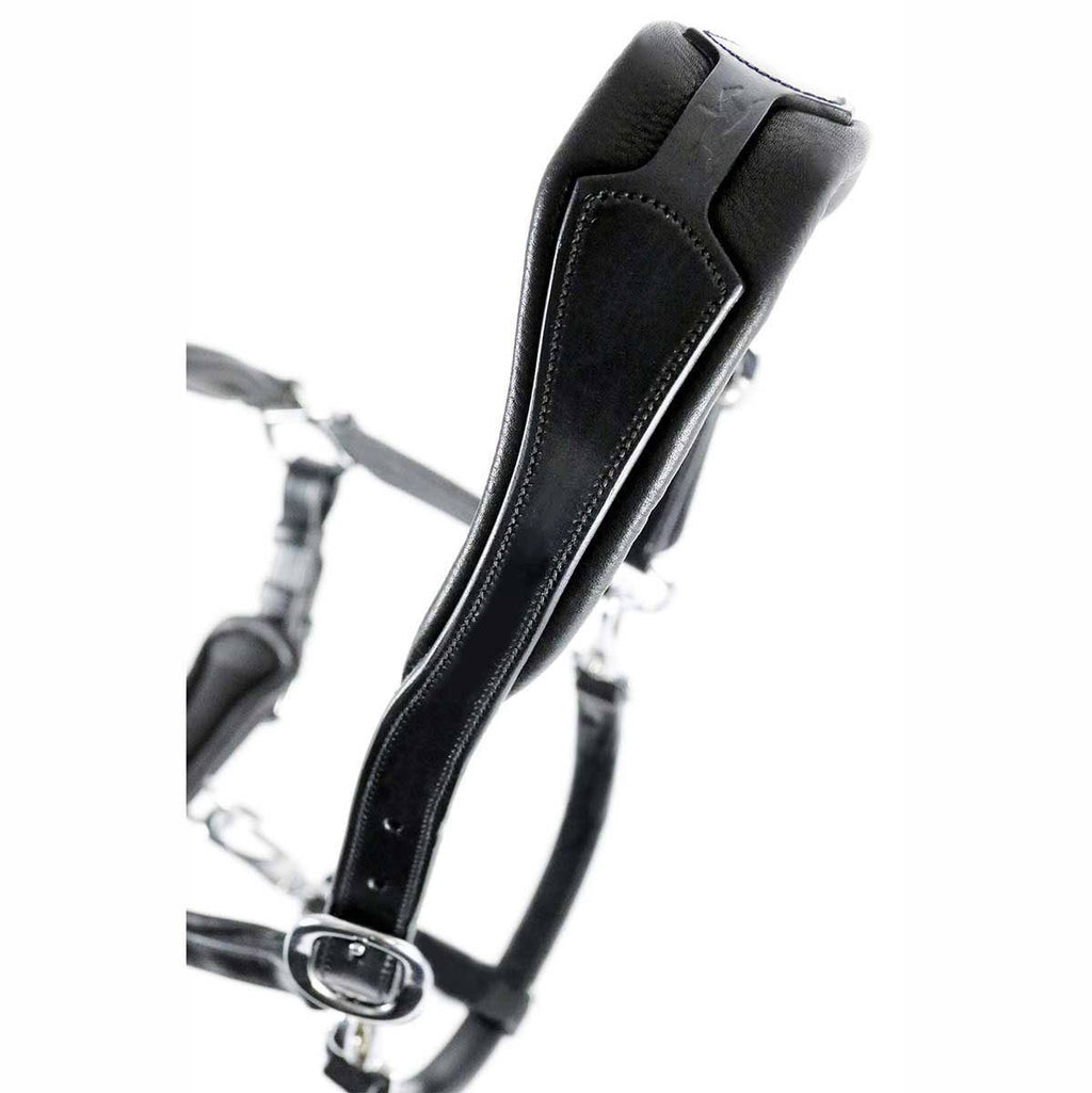 Anatomical Leather Halter S85269