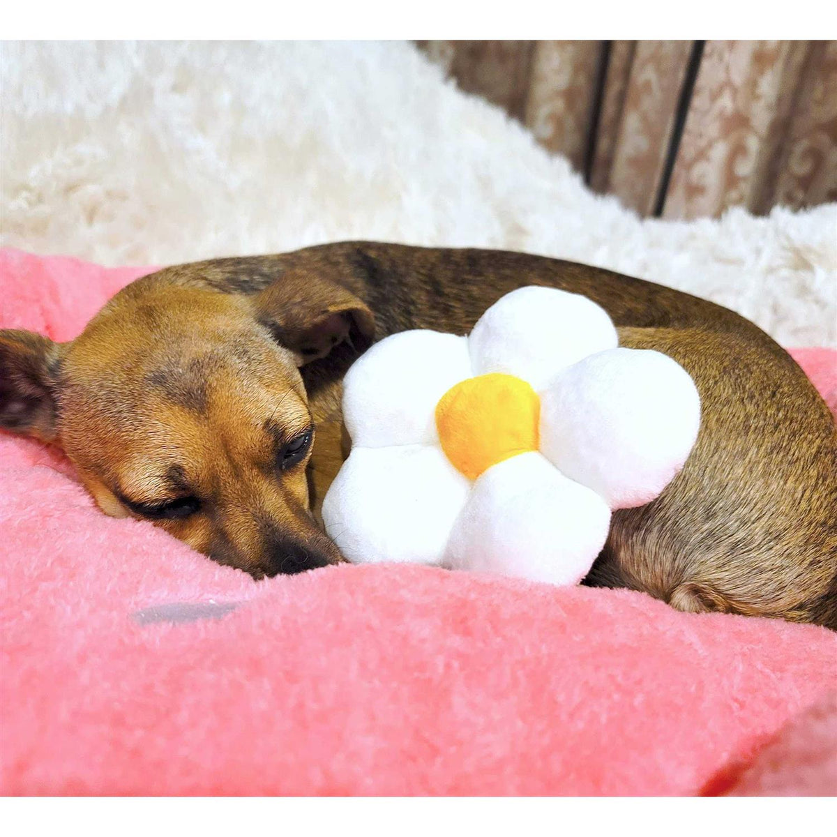 Soft Plush Small Dog Cat Bed W6991