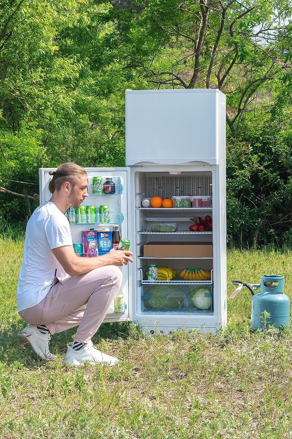 Propane Refrigerator Top Freezer X228839