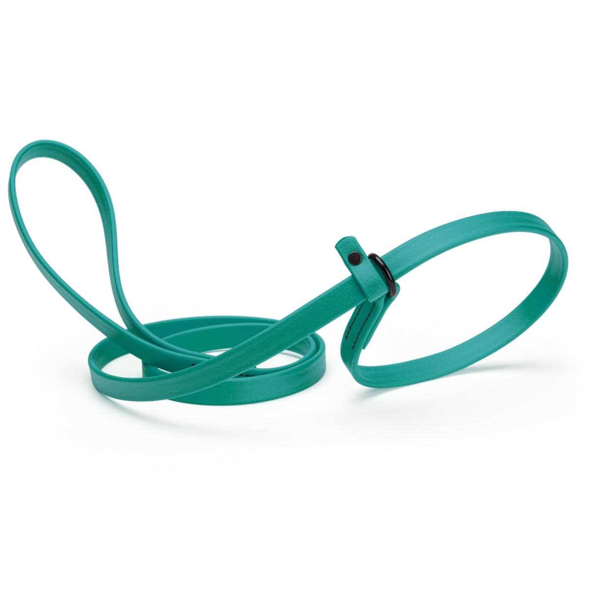 Biothane Slip Dog Leash R9105